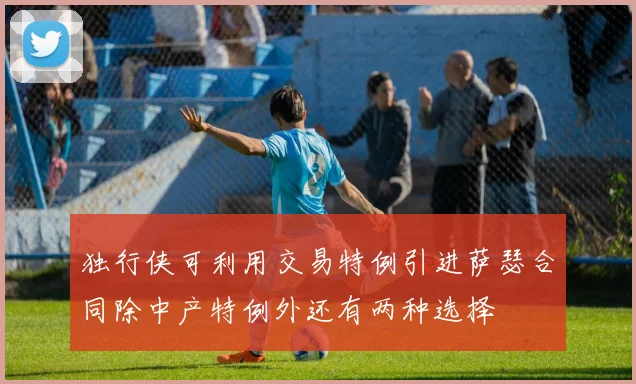 独行侠可利用交易特例引进萨瑟合同除中产特例外还有两种选择